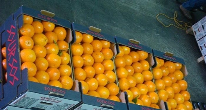 Άρτα: Δεσμεύεται για στήριξη της παραγωγής εσπεριδοειδών το Υπουργείο