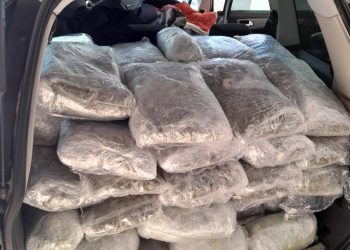 Σημαντική ποσότητα ναρκωτικών εντοπίστηκε στη Θεσπρωτία