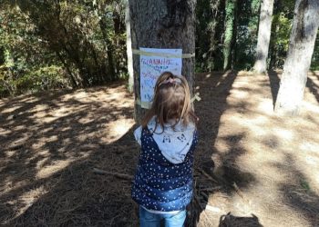 Διεθνής διάκριση για το 23ο Νηπιαγωγείο Ιωαννίνων