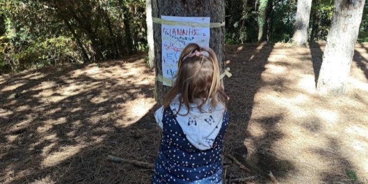 Διεθνής διάκριση για το 23ο Νηπιαγωγείο Ιωαννίνων