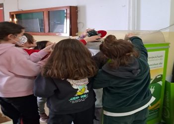 Το 5ο Δημοτικό Σχολείο Ιωαννίνων “Βαλάνειος Σχολή” στηρίζει ενεργά την ανακύκλωση