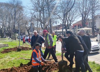 Δέντρα- σύμβολα μνήμης στην πλατεία Μαβίλη