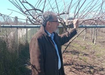 Χρ. Γκόκας: Η ερώτηση για την αποκατάσταση ζημιών από χαλαζόπτωση σε περιοχές της Άρτας