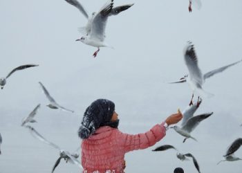 «Για τη γυναίκα» Έκθεση φωτογραφίας