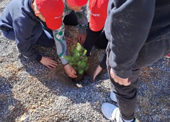 Το «φυτεύω ένα δέντρο» έγινε πράξη στον Δήμο Πάργας