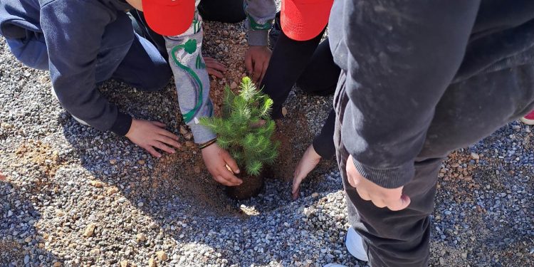 Το «φυτεύω ένα δέντρο» έγινε πράξη στον Δήμο Πάργας