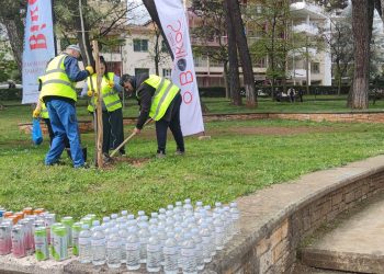 Ολοκληρώθηκε το πρόγραμμα δεντροφύτευσης