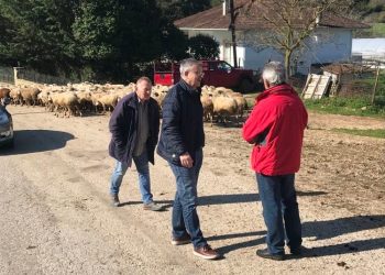 Μανταλόβας: Κτηνοτρόφοι, κρεοπώλες και καταναλωτές βιώνουν το δικό τους «Γολγοθά»