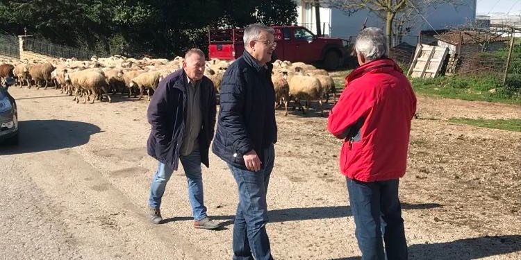 Μανταλόβας: Κτηνοτρόφοι, κρεοπώλες και καταναλωτές βιώνουν το δικό τους «Γολγοθά»