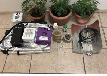 Σχηματισμός δικογραφίας σε βάρος ημεδαπού για καλλιέργεια και κατοχή ναρκωτικών σε περιοχή της Πρέβεζας