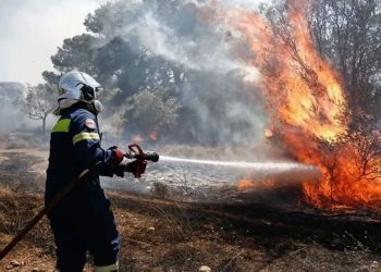 Η πρόληψη στο επίκεντρο του Συντονιστικού Πολιτικής Προστασίας για τις δασικές πυρκαγιές