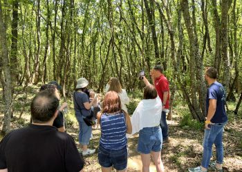 Ισραηλινοί δημοσιογράφοι γνώρισαν τις φυσικές ομορφιές και τα προϊόντα του Δήμου Ζίτσας