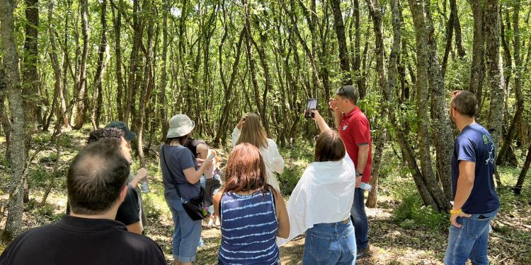 Ισραηλινοί δημοσιογράφοι γνώρισαν τις φυσικές ομορφιές και τα προϊόντα του Δήμου Ζίτσας