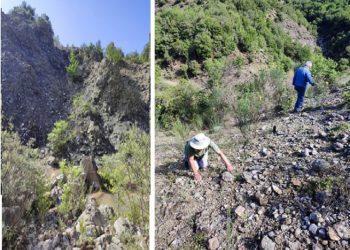 Ο Απολιθωματοφόρος ορίζοντας στην Ιτέα του Αν. Ζαγορίου – Σημαντικός γεώτοπος της Ηπείρου