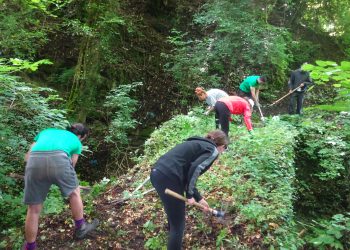 Εθελοντικό καθαρισμό μονοπατιών διοργανώνει ο Δήμος Πωγωνίου