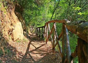 Δήμος Πάργας: Υποβολή πρότασης 1.595.000 € για δημιουργία 42 χλμ. περιπατητικών διαδρομών