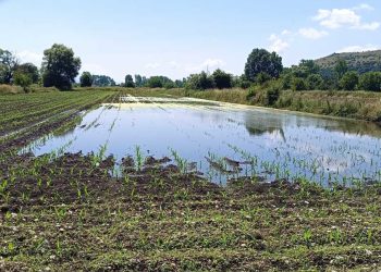 ΠΑΣΟΚ Ιωαννίνων: “Πυρά” σε Καχριμάνη και Υπουργείο για τις καταστροφή καλλιεργειών στον Ν.Ιωαννίνων