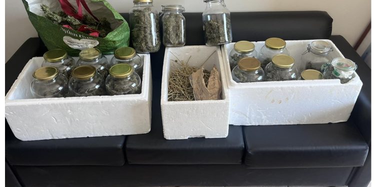 Πρέβεζα: Συνελήφθη για κατοχή ναρκωτικών – Κατασχέθηκαν περίπου 3 κιλά ακατέργαστης κάνναβης