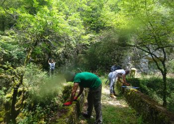 Ολοκληρώθηκε η Εβδομάδα Εθελοντικού Καθαρισμού Μονοπατιών από τον Δήμο Πωγωνίου