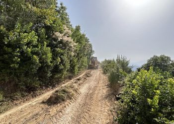 Πολιτική Προστασία Δήμου Αρταίων: Διάνοιξη νέων αντιπυρικών ζωνών και Παρεμβάσεις σε δρόμους και δάση