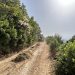Πολιτική Προστασία Δήμου Αρταίων: Διάνοιξη νέων αντιπυρικών ζωνών και Παρεμβάσεις σε δρόμους και δάση