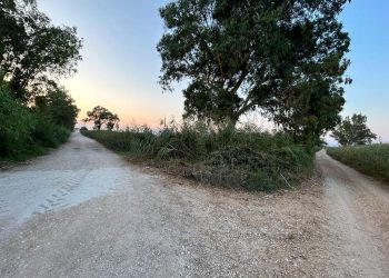 Άρτα: 15 χλμ νέας ασφαλτόστρωτης σε Βάλτο Βίγλας, Ράχη και Άγιο Σπυρίδωνα