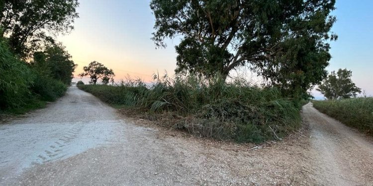 Άρτα: 15 χλμ νέας ασφαλτόστρωτης σε Βάλτο Βίγλας, Ράχη και Άγιο Σπυρίδωνα