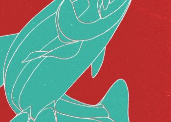 Παράσταση στο Κάστρο της Πάργας