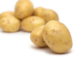 Υπογράφηκε η Προγραμματική σύμβαση για την κατοχύρωση της πατάτας Χρυσοβίτσας ως Προϊόντος Γεωγραφικής Ένδειξης