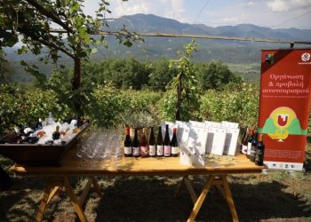 «Μιλώντας για οινοτουριστικές εμπειρίες»