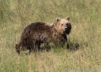 Η Γλύκα επέστρεψε στη φύση