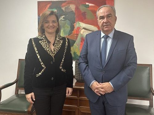 Συνάντηση Μ. Κεφάλα με Ν. Παπαθανάση