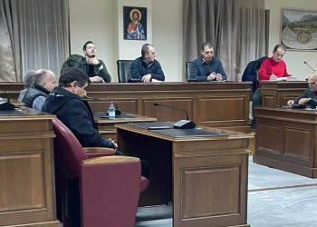 Δημαιρεσίες στο Δήμο Δωδώνης