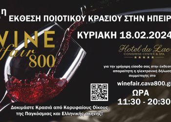 6η Έκθεση Ποιοτικού Κρασιού στην Ήπειρο 800WineFair