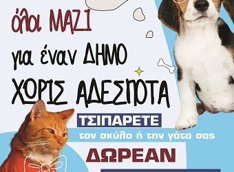 Δωρεάν Ηλεκτρονική Σήμανση (Microchip) Χιλίων Δεσποζόμενων Ζώων