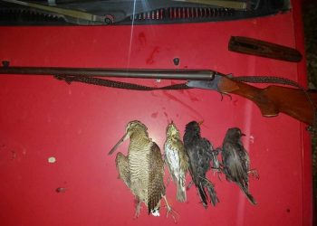 Eντατικοί έλεγχοι της Ομοσπονδιακής Θηροφυλακής της Ε’ ΚΟΗ Παραβάσεις και πρόστιμα