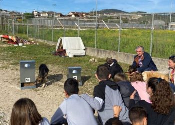 Οι μαθητές του 1ου Δημοτικού Σχολείου Ελεούσας έμαθαν και φρόντισαν τα αδέσποτα της περιοχής