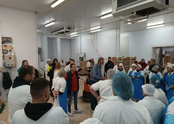 Πολιτική δραστηριότητα του ΚΚΕ