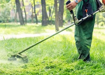 Ετήσιος καθαρισμός οικοπέδων Δήμου Πάργας οδηγίες προς τους πολίτες