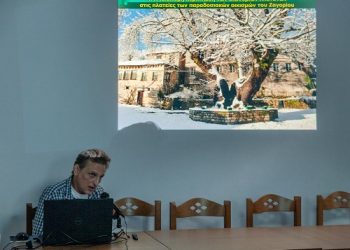 Ημερίδα για την Ασθένεια του Πλατάνου στην Αρίστη Ζαγορίου