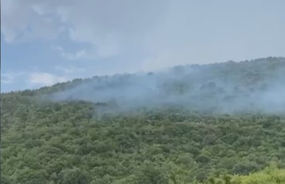 Φωτιά στους Ασπραγγέλους (βίντεο)