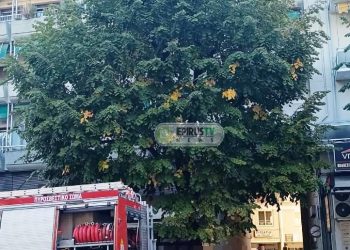 Φωτιά σε διαμέρισμα στη Δωδώνης – Μία γυναίκα με εγκαύματα