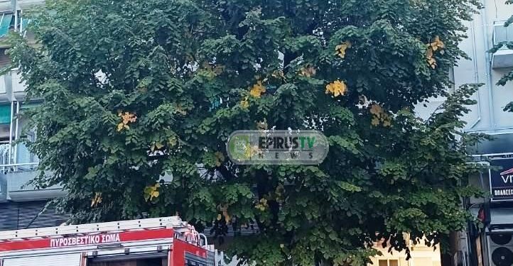 Φωτιά σε διαμέρισμα στη Δωδώνης – Μία γυναίκα με εγκαύματα