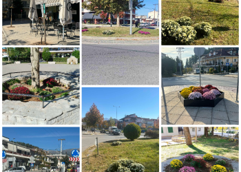 Φυτεύσεις λουλουδιών και δέντρων από το δήμο Ιωαννιτών σε συνεργασία με την δημοτική κοινότητα Ιωαννίνων