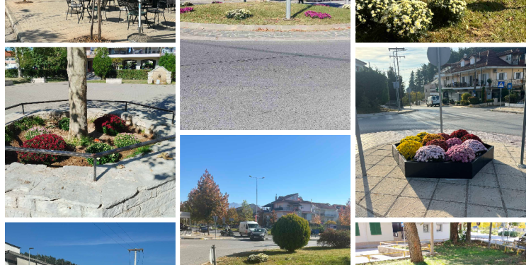 Φυτεύσεις λουλουδιών και δέντρων από το δήμο Ιωαννιτών σε συνεργασία με την δημοτική κοινότητα Ιωαννίνων