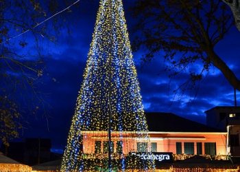 Το Χριστουγεννιάτικο δέντρο της ΔΩΔΩΝΗ φωτίζει και φέτος τα Ιωάννινα