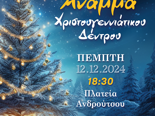 Την Πέμπτη το άναμμα του χριστουγεννιάτικου δέντρου στον δήμο Πρέβεζας