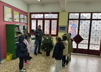 Χριστουγεννιάτικες ευχές που «ριζώνουν» στα σχολεία μας