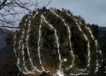 Το δέντρο της θα ανάψει η αδελφότητα Σκλιβανιτών Ιωαννίνων