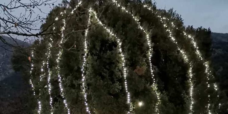 Το δέντρο της θα ανάψει η αδελφότητα Σκλιβανιτών Ιωαννίνων